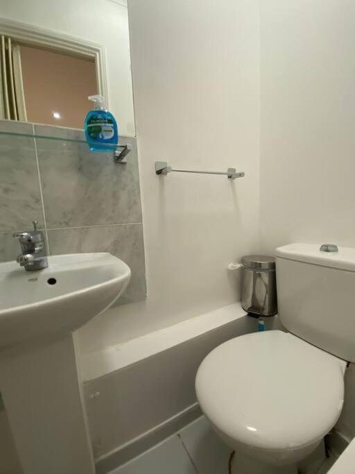 F2- Basement Studio Fits 1 Near Paddington لندن المظهر الخارجي الصورة